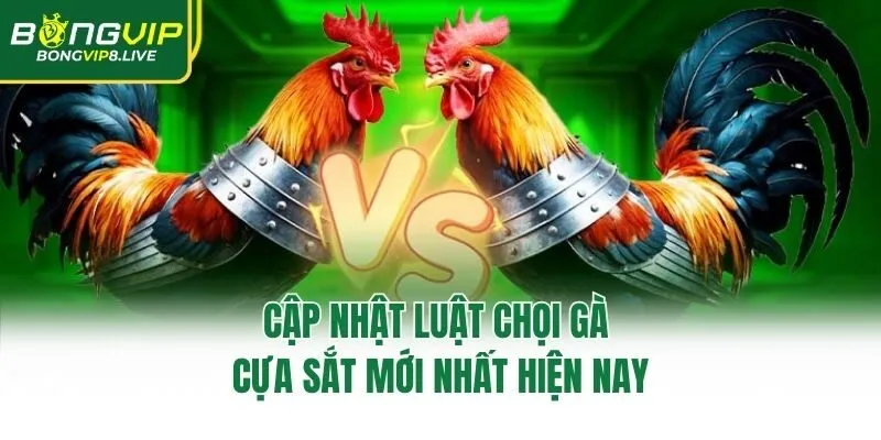 Cập nhật luật chọi gà cựa sắt mới nhất hiện nay